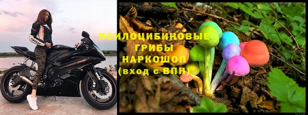 молекула духа Аркадак