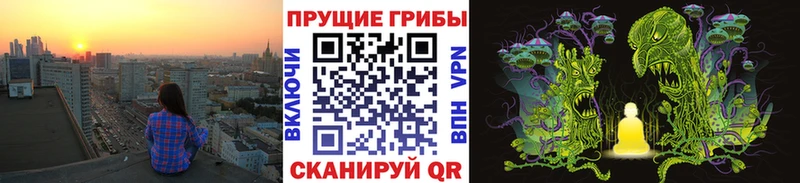 как найти закладки  Усть-Илимск  ОМГ ОМГ ССЫЛКА  Псилоцибиновые грибы Psilocybe 